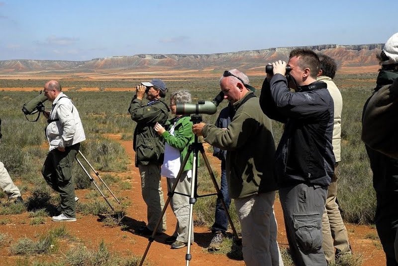 Ornitología en el Planerón